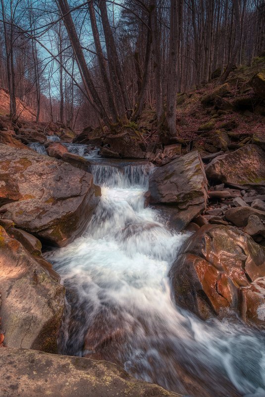 пейзаж, лес, вода, горная, река, карпаты, landscape, forest, water, mountain, river, karpaty Горный поток фото превью