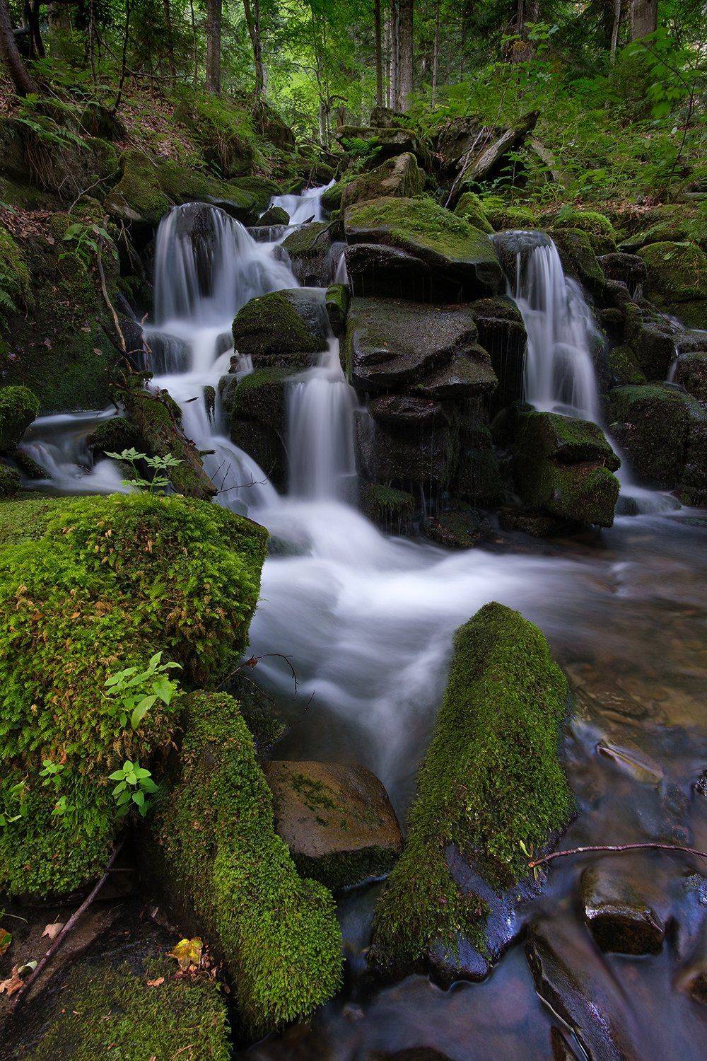 пейзаж, водопад, вода, ручей, лес, лето, карпаты, landscape, waterfall, water, stream, forest, summer, karpaty, Stanislav Yendrek