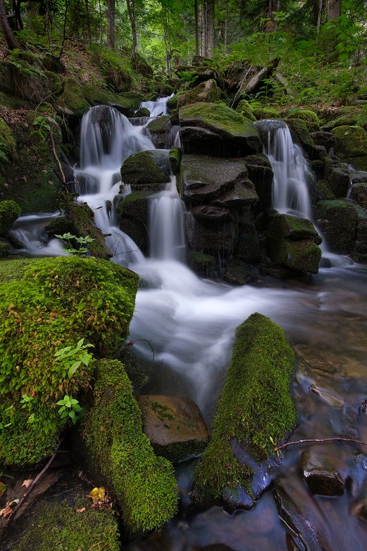 пейзаж, водопад, вода, ручей, лес, лето, карпаты, landscape, waterfall, water, stream, forest, summer, karpaty Магия воды фото превью