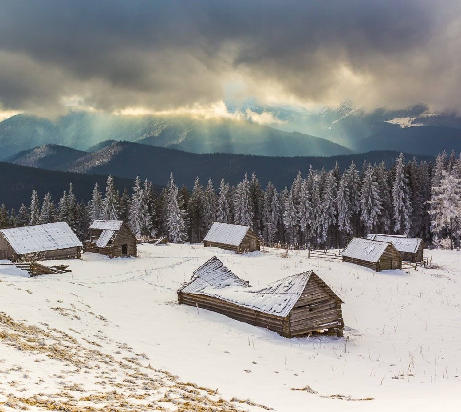 , Александр Подрез