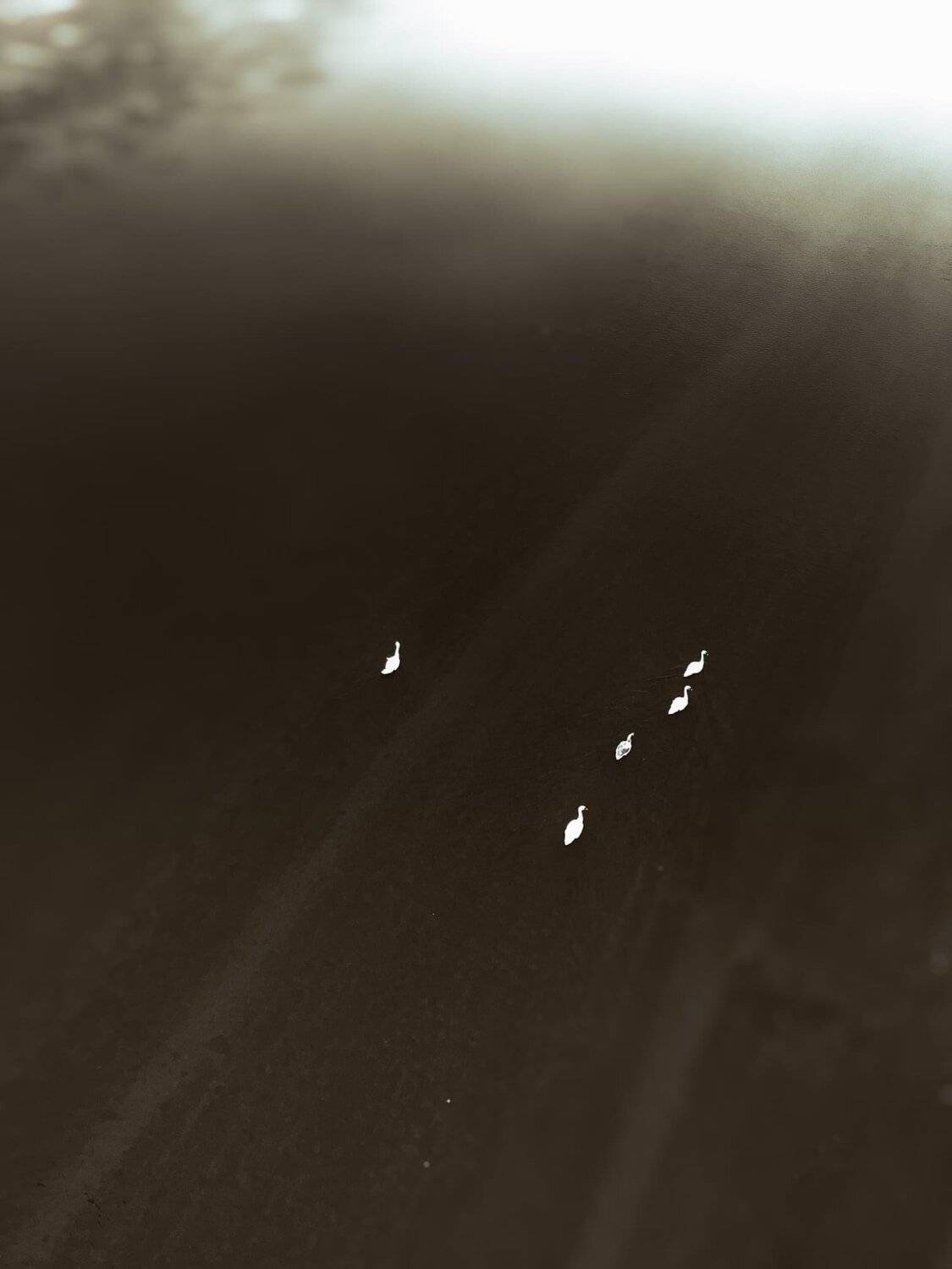 #iPhone, Artur Politov