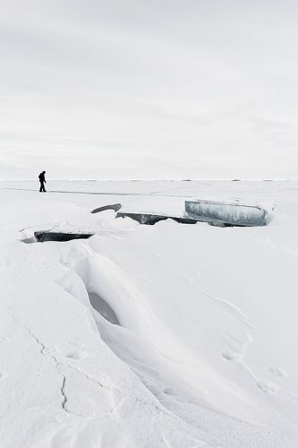 Фото в цвете