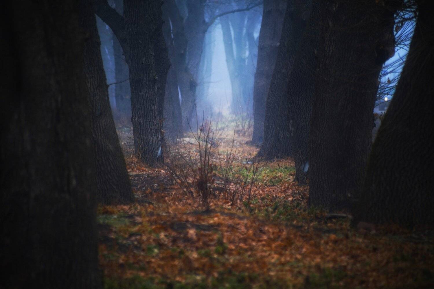 , Павел Сагайдак