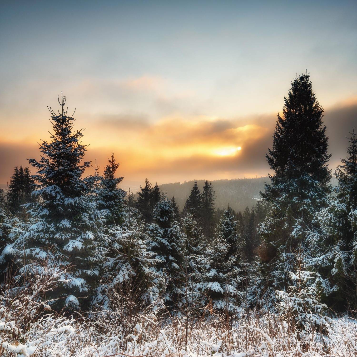 #tree #poland #mountains #color #sunrise #benro #benq #pentax, Michał Sośnicki