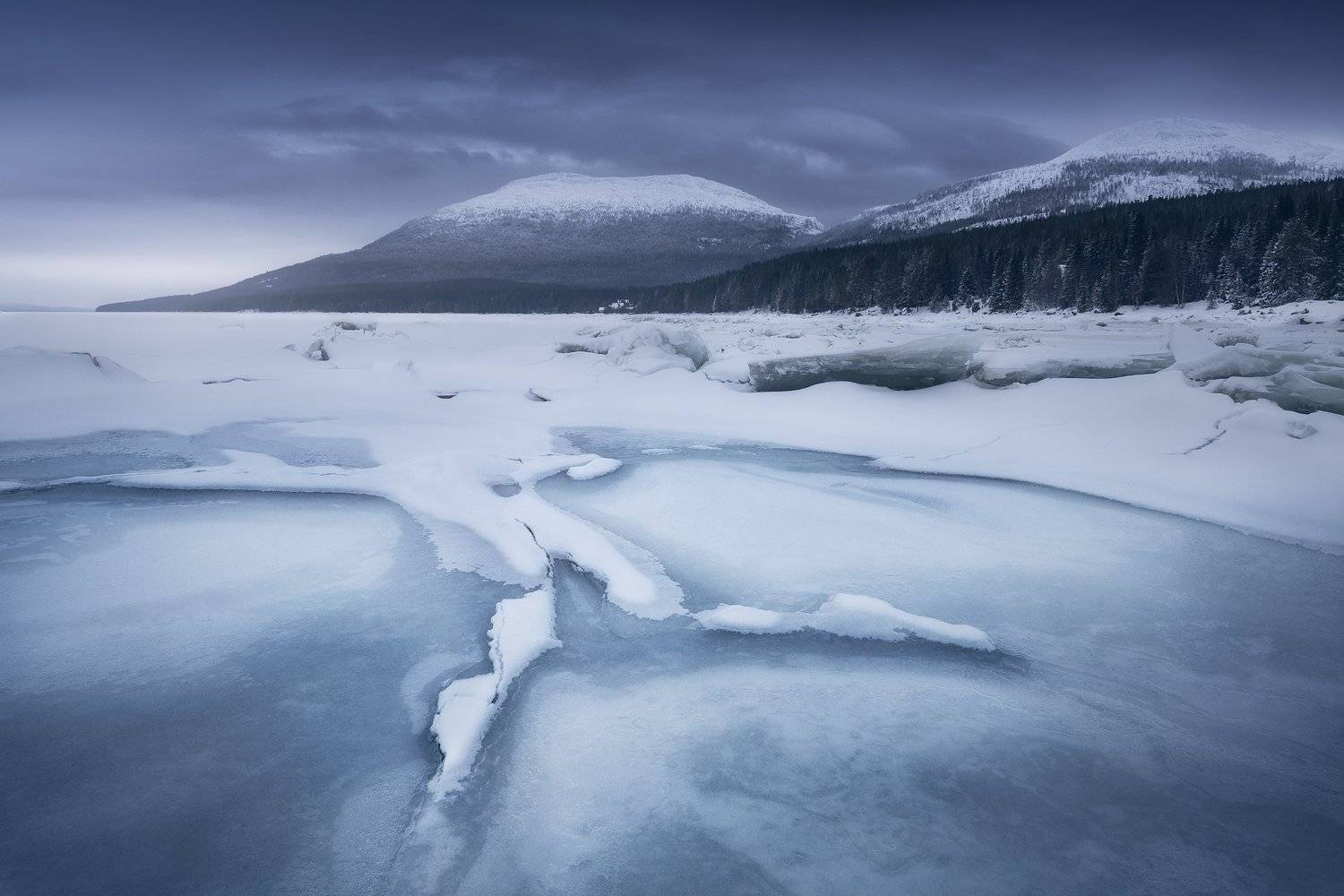 , Анна Политова