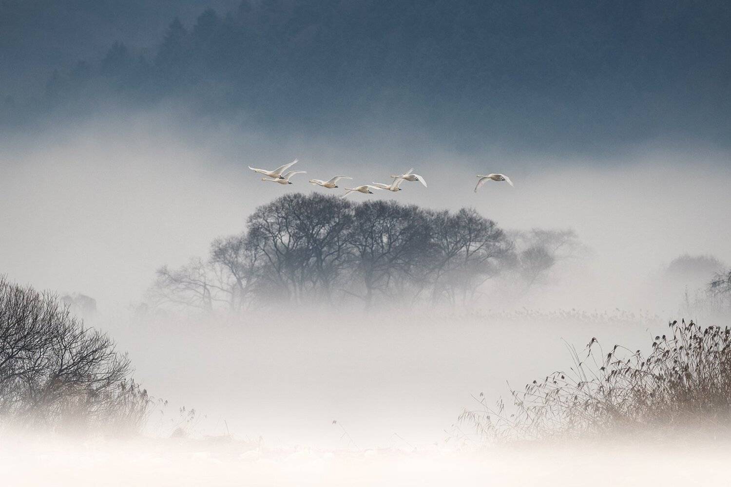 , suk eun kim