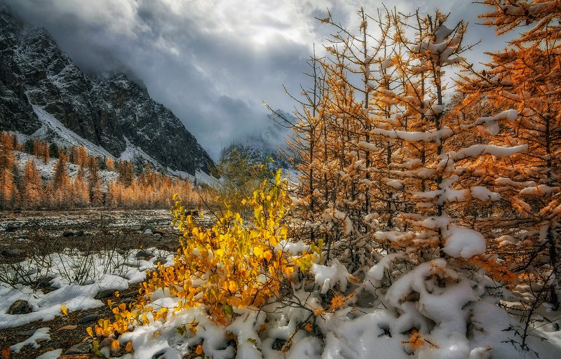 Осенний солнца луч... фото превью