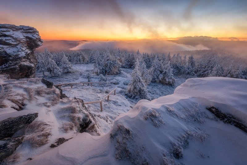 landscape, tree, sunrise, panorama Fairytale Winter фото превью