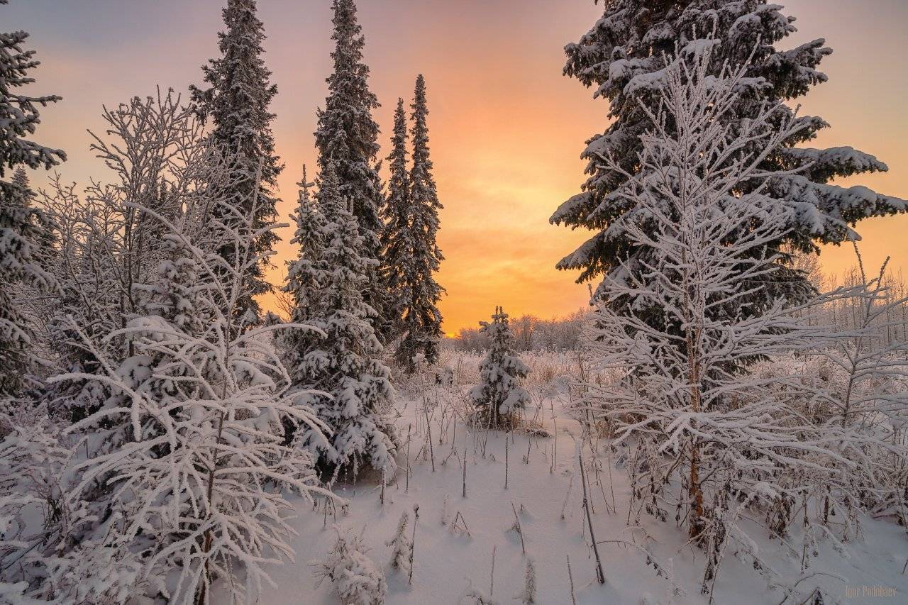 печора,коми,закат, Игорь Подобаев