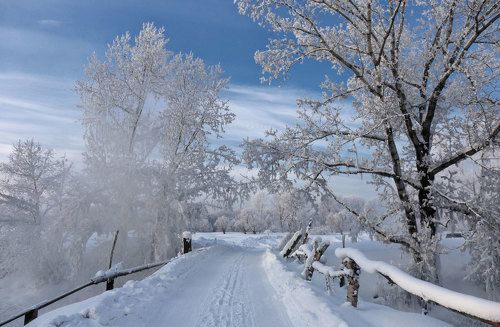 Зимние прогулки