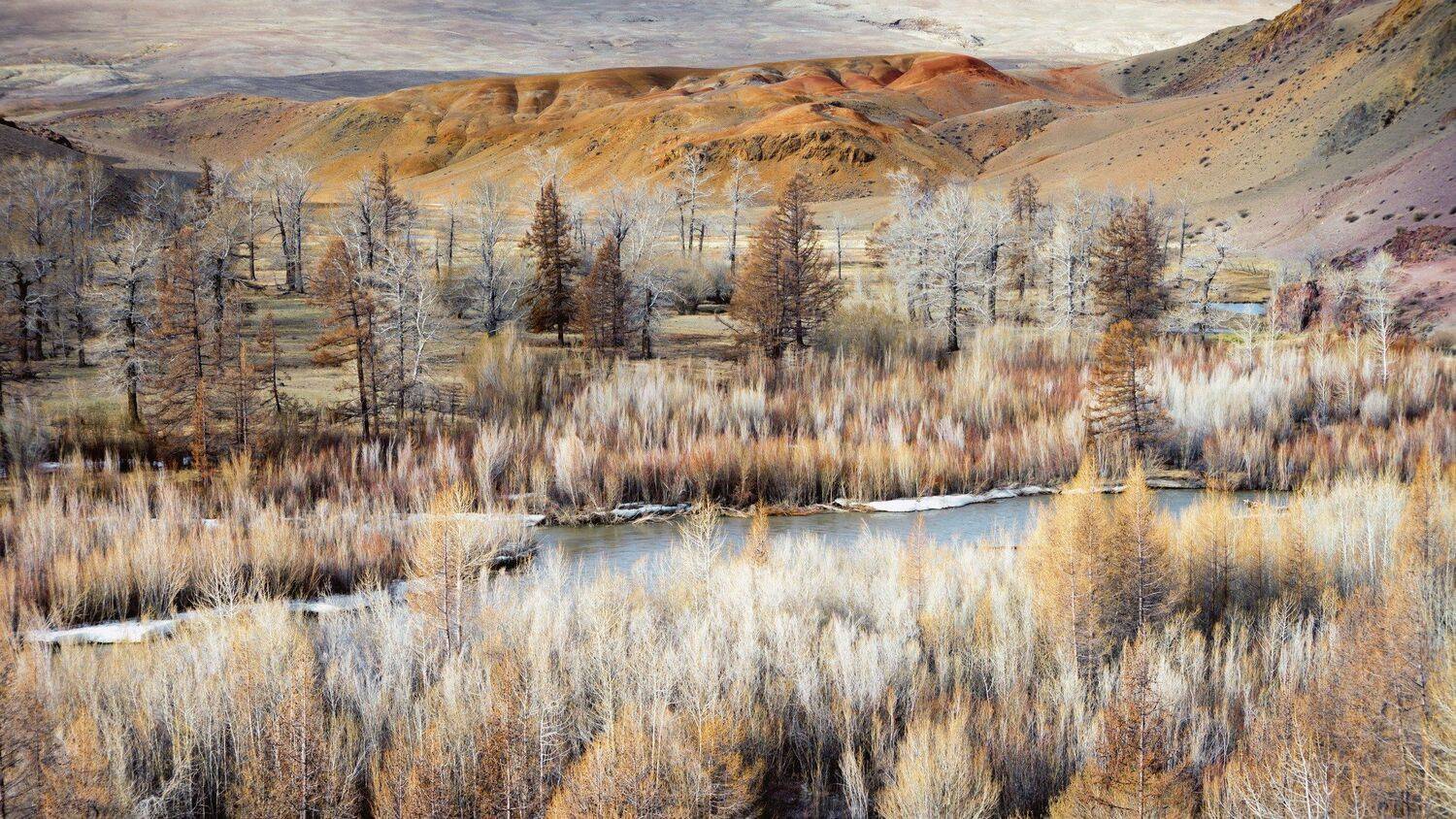 , Андрей Хаймин