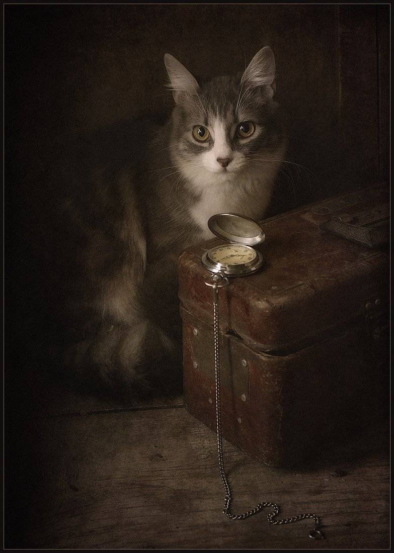 , Александр Хромеев