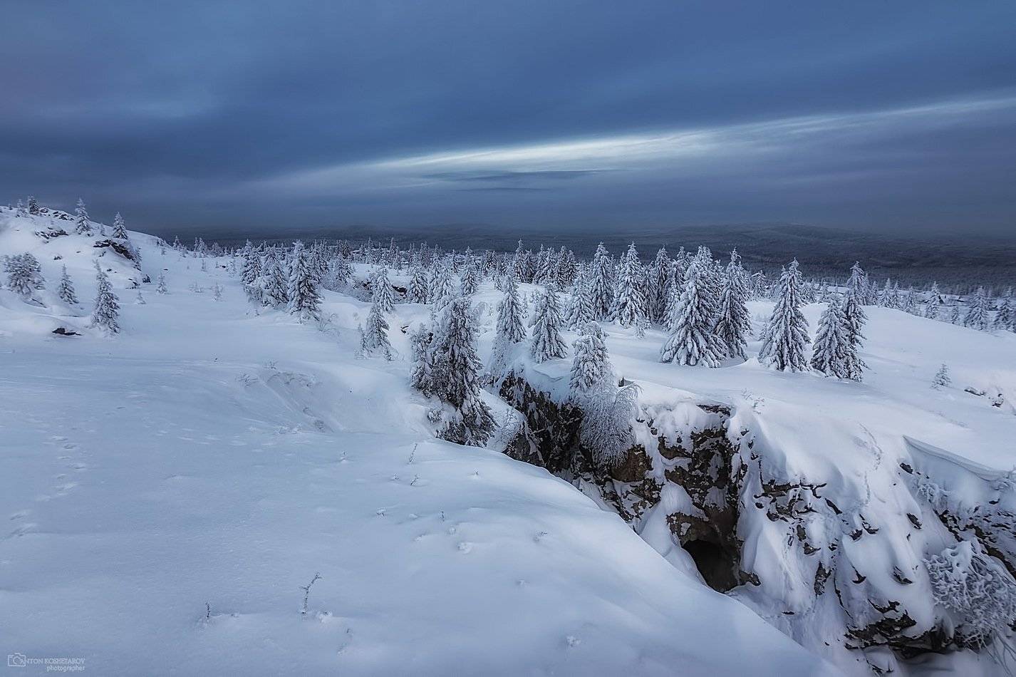 , Антон Кошетаров