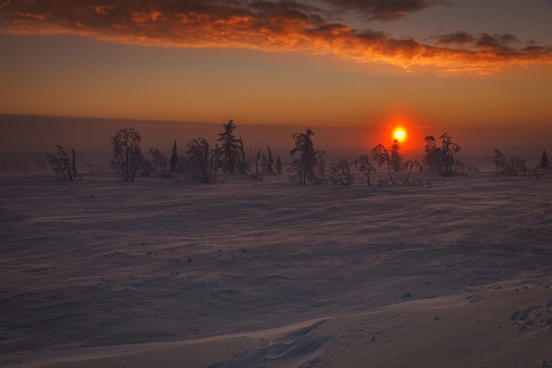 * * * фото превью