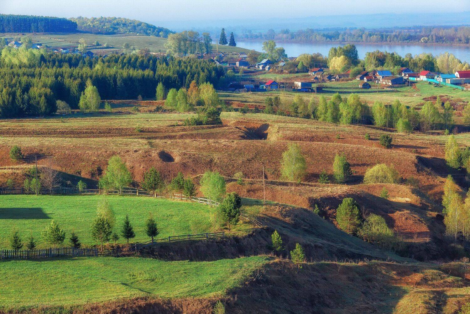 , Алексей Никитин