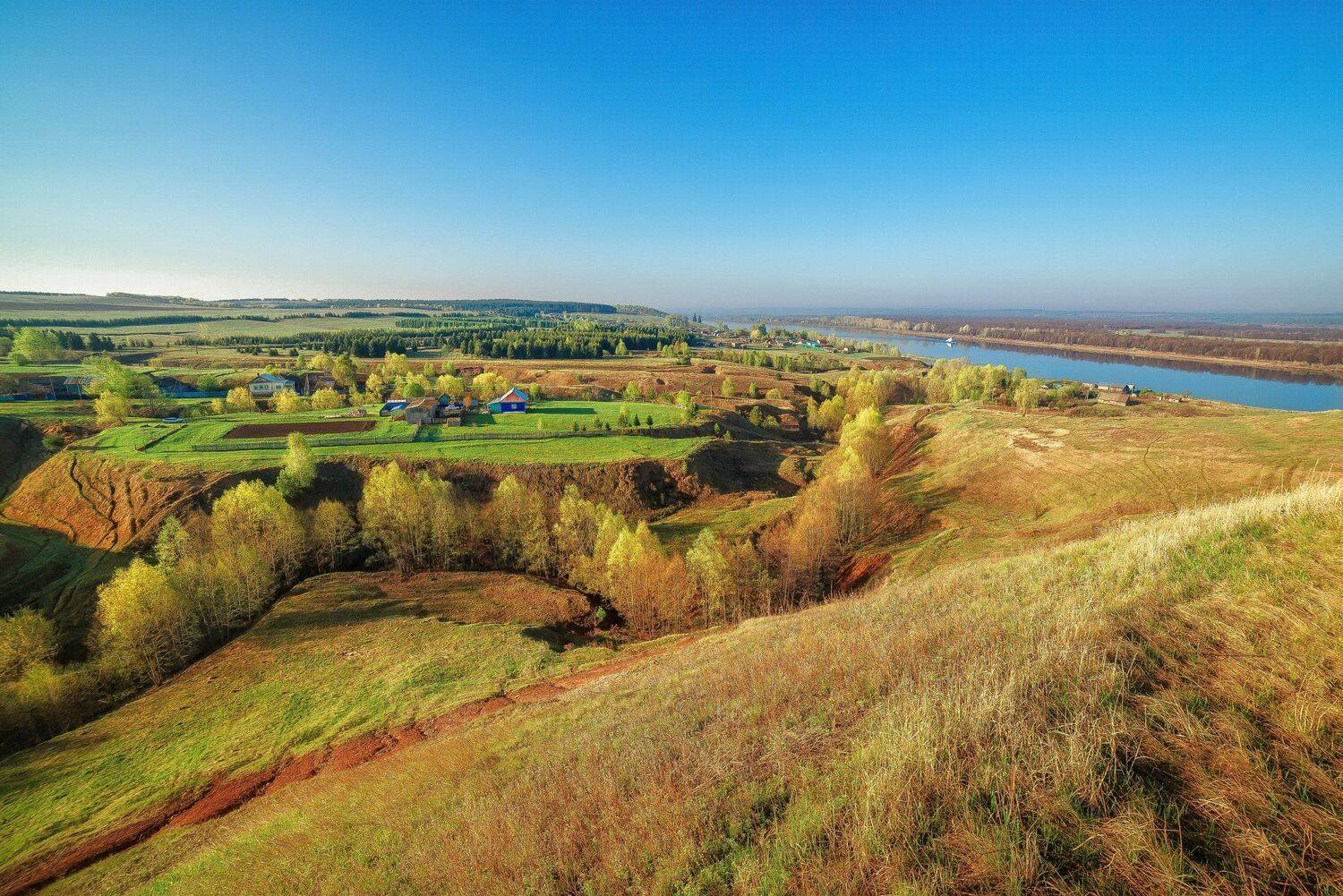 , Алексей Никитин