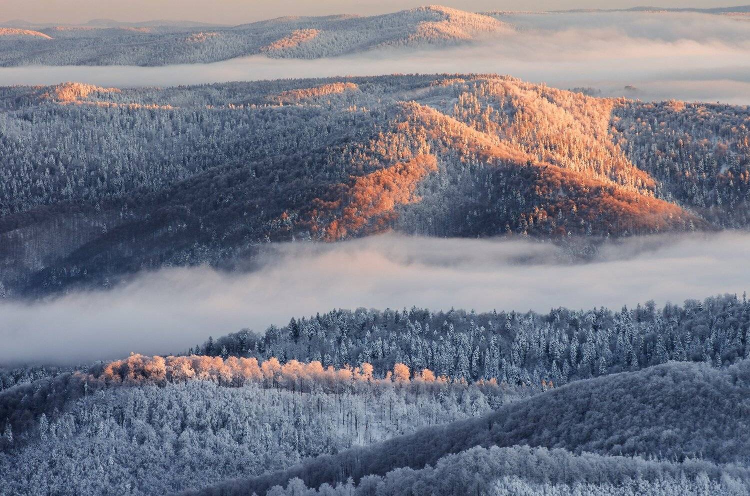Bieszczady, winter, snow, National, Park, Poland, mountais, forest, fog,  Mirek Pruchnicki