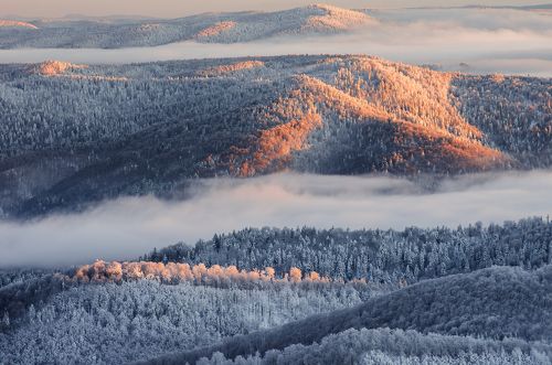 Winter in Bieszczady
