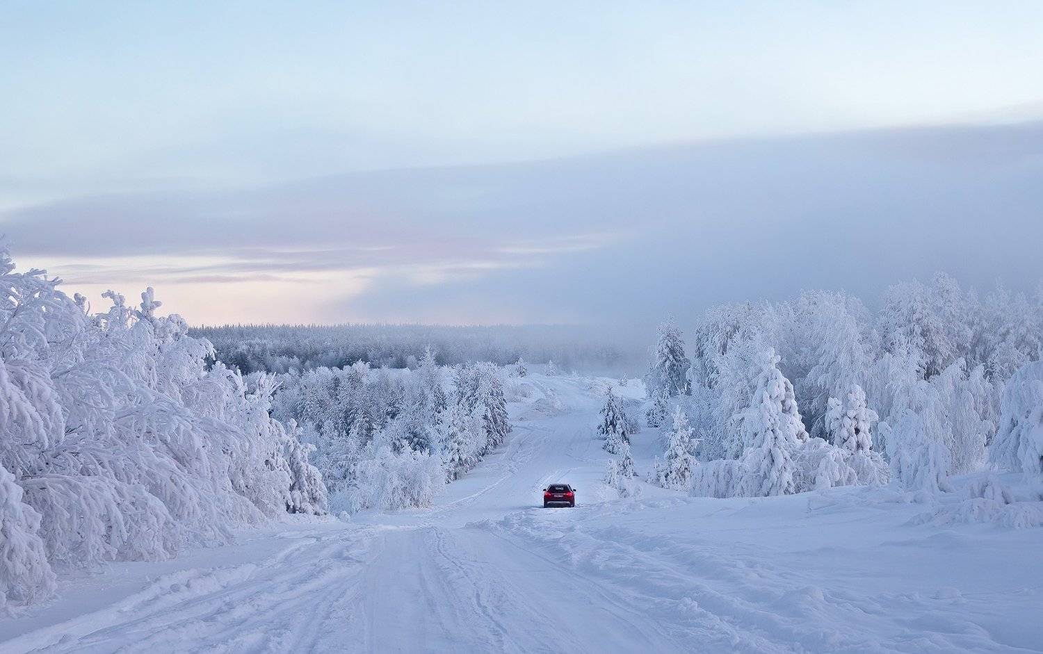 север,коми,зима,природа,печора, Игорь Триер