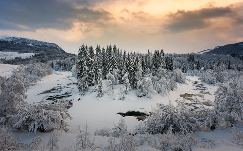 Norwegian winter