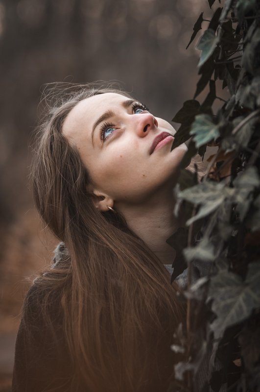 Ivy eyes 2 фото превью