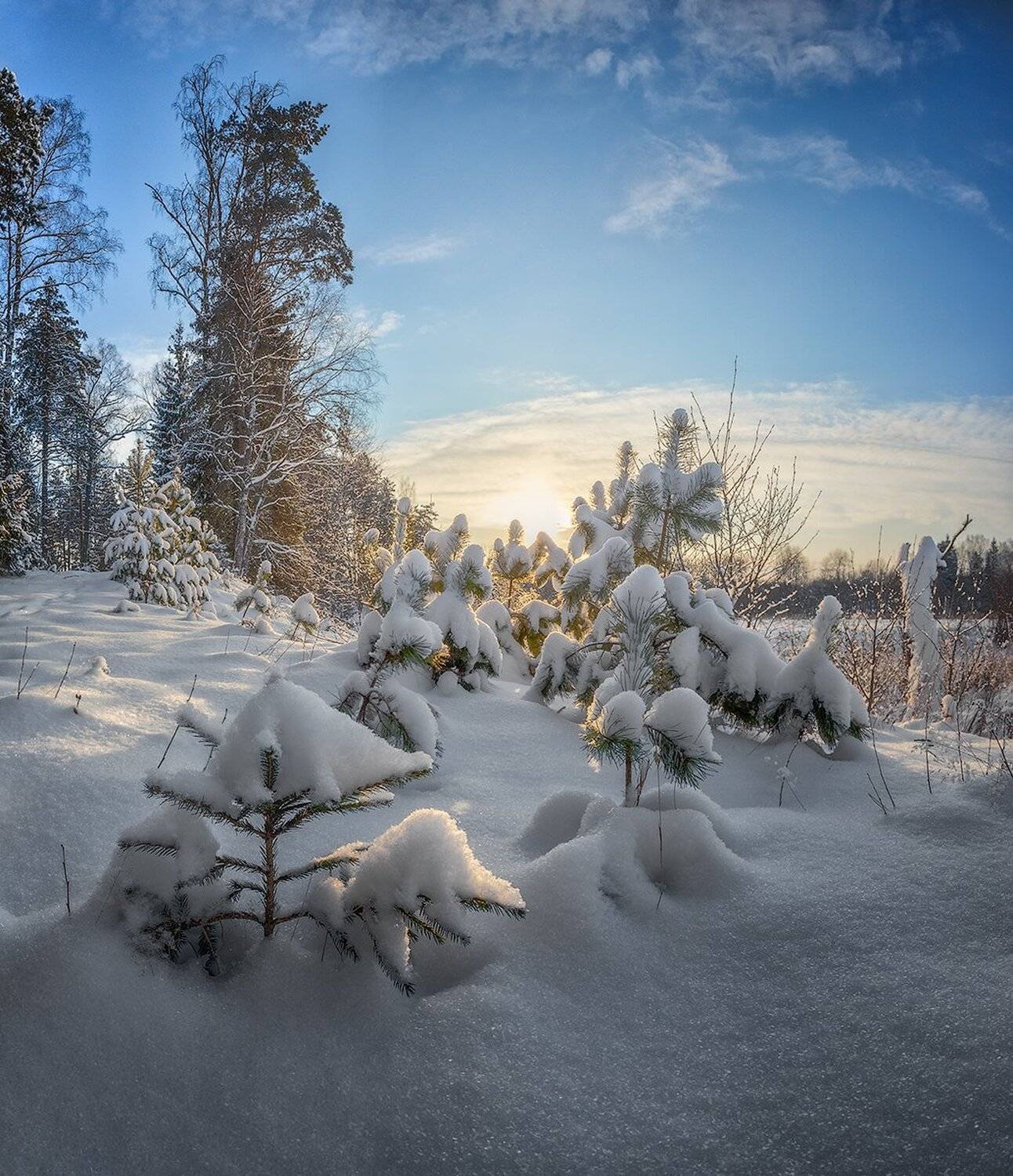 , Николай Андреев