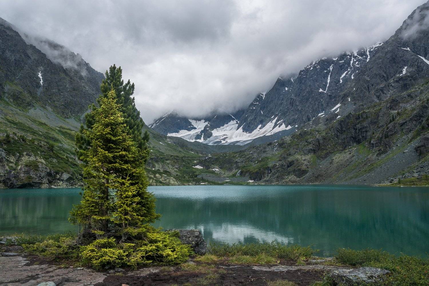 россия, горный алтай, озеро куйгук, июль, Андрей Поляков