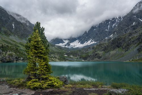 Куйгук