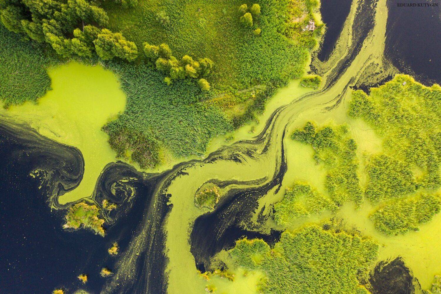 Курганская Шадринск Зауралье болото, Кутыгин Эдуард