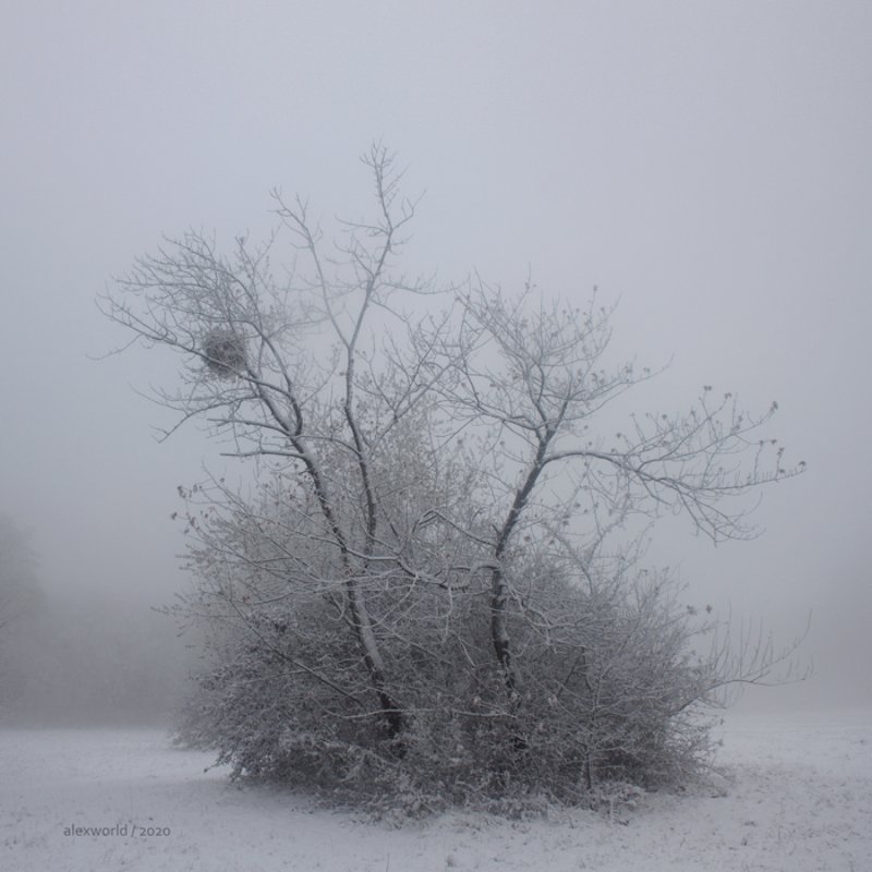 Untitled фото превью