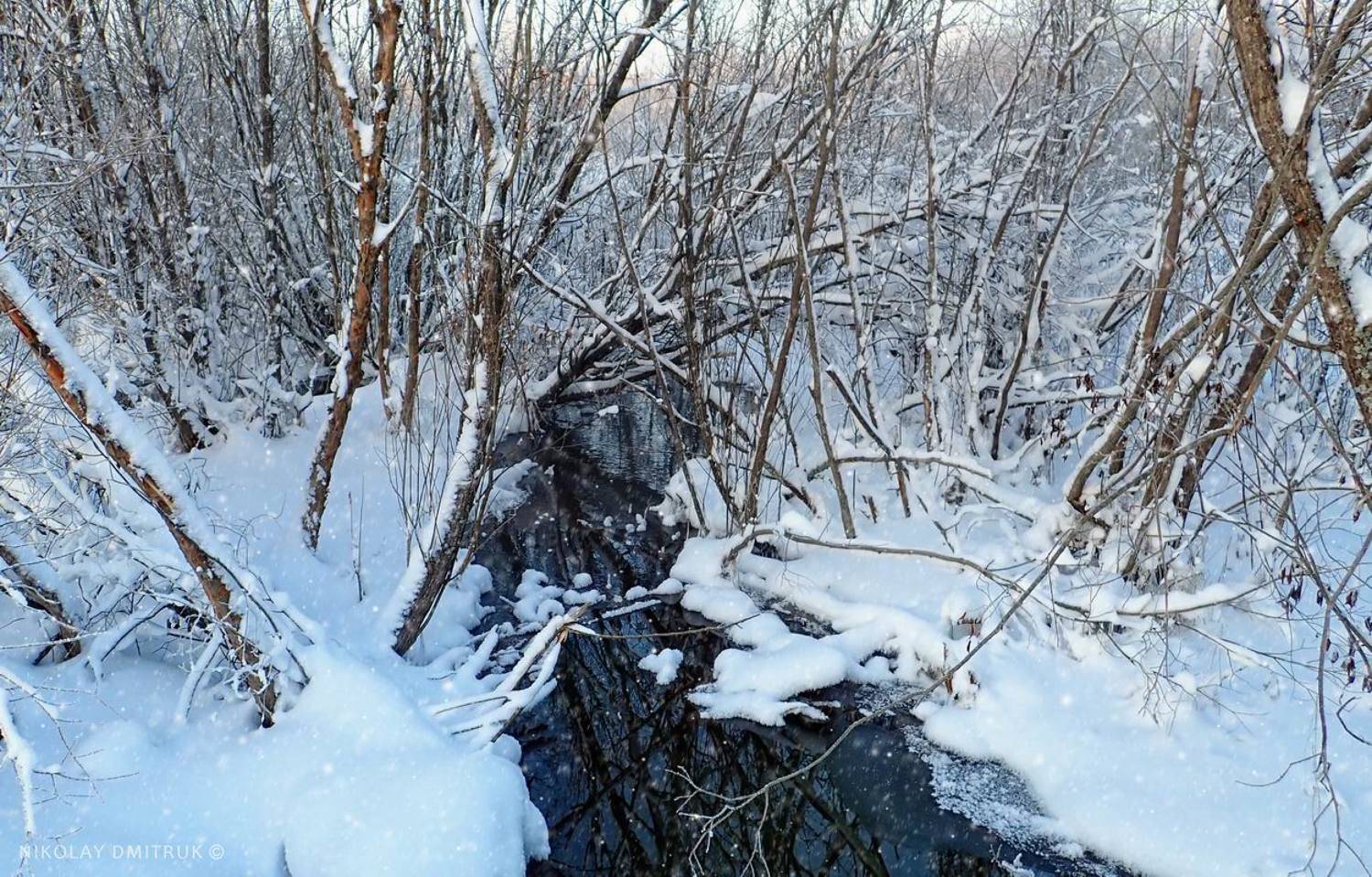 пейзаж, николай дмитрук
