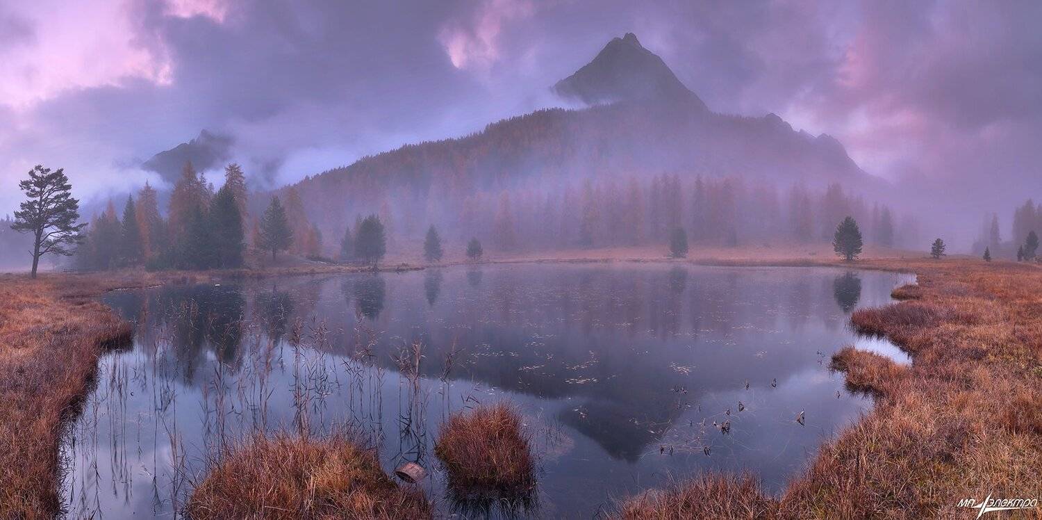 swiss, Матвеев Николай