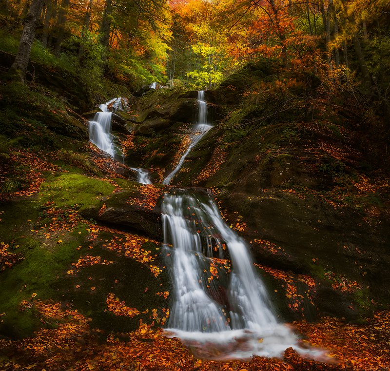 Аutumn in Kopren, Stara Planina фото превью