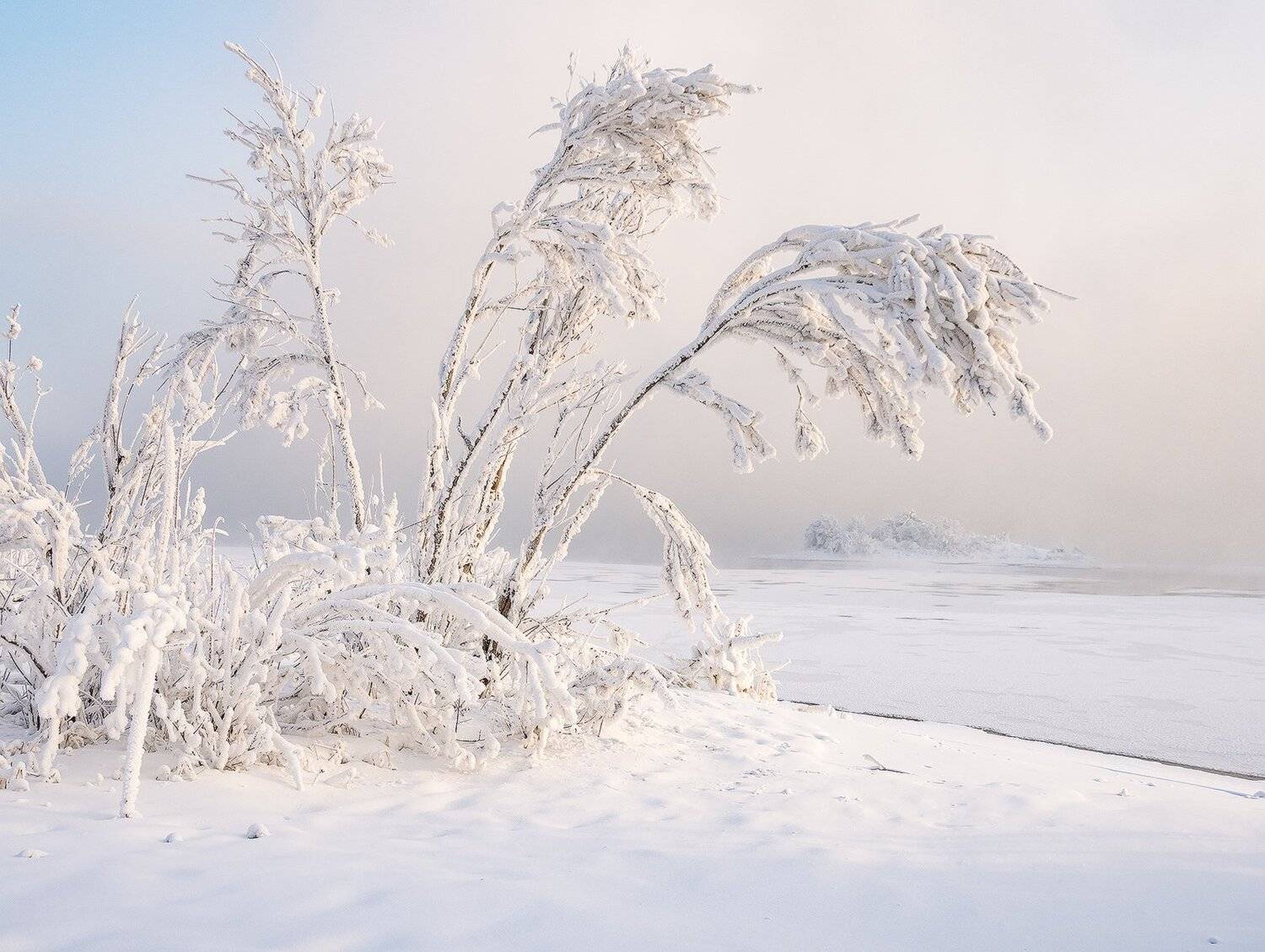 , Лещёнок Александр