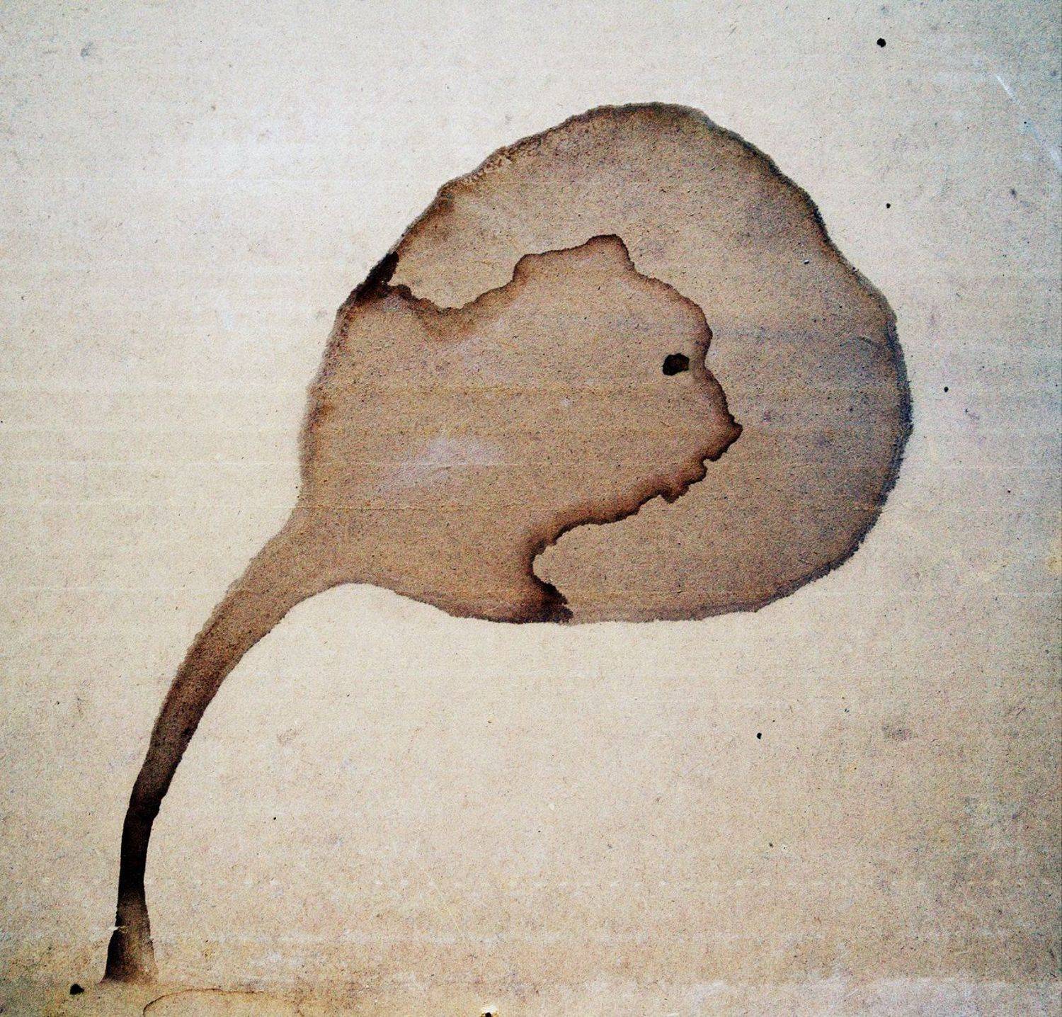 pareidolia, ПОЛУЕВ ИЛЬЯ