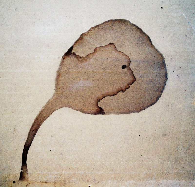 pareidolia *** фото превью