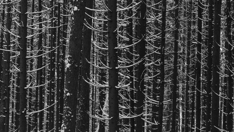 Зимний этюд фото превью