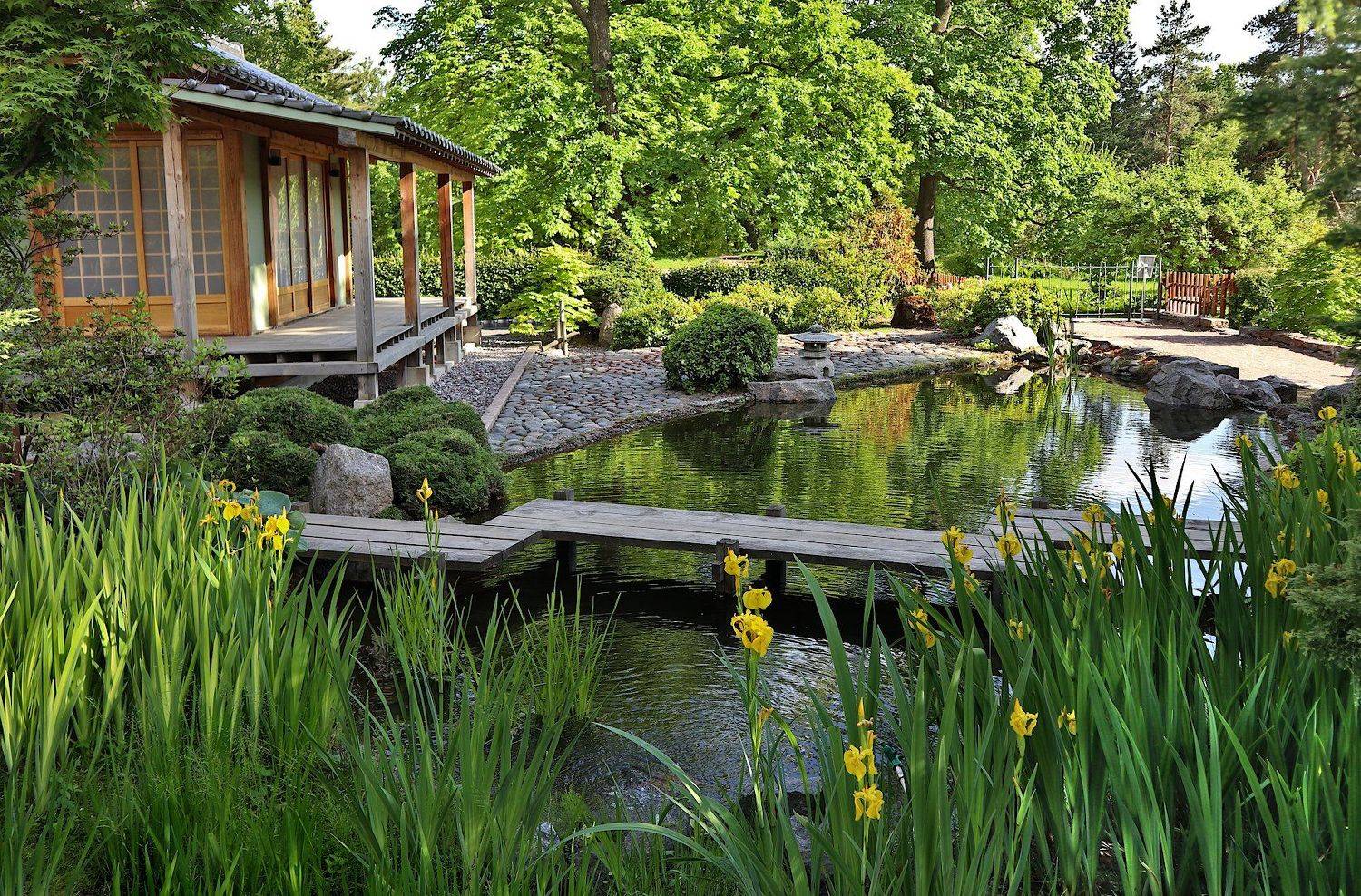 , Александр Зорин