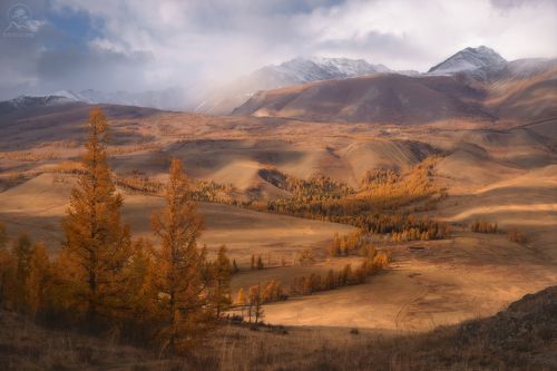 Алтайская осень