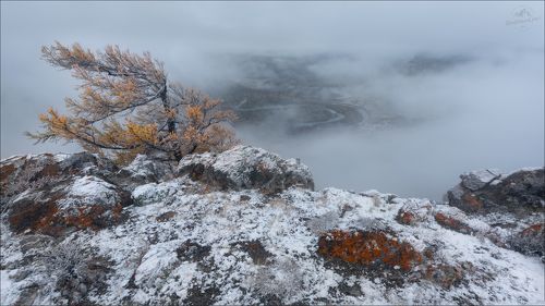 На семи ветрах ..