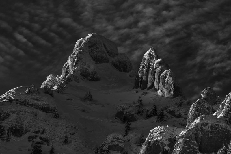 2021 фото превью