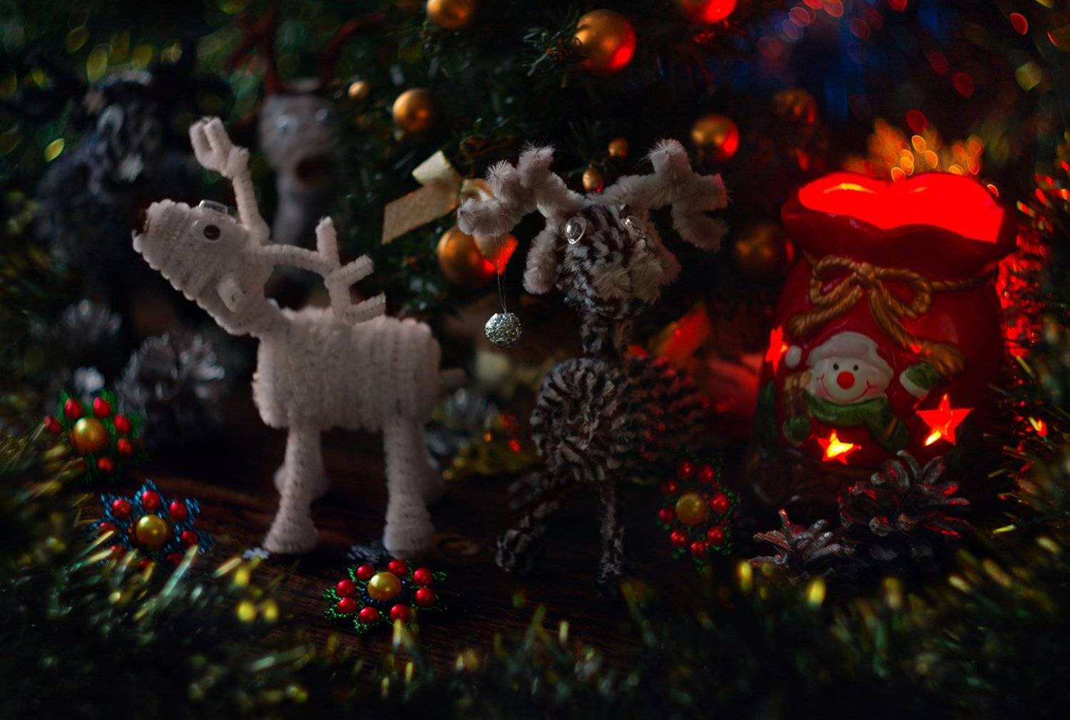 , Алёна Сурнина