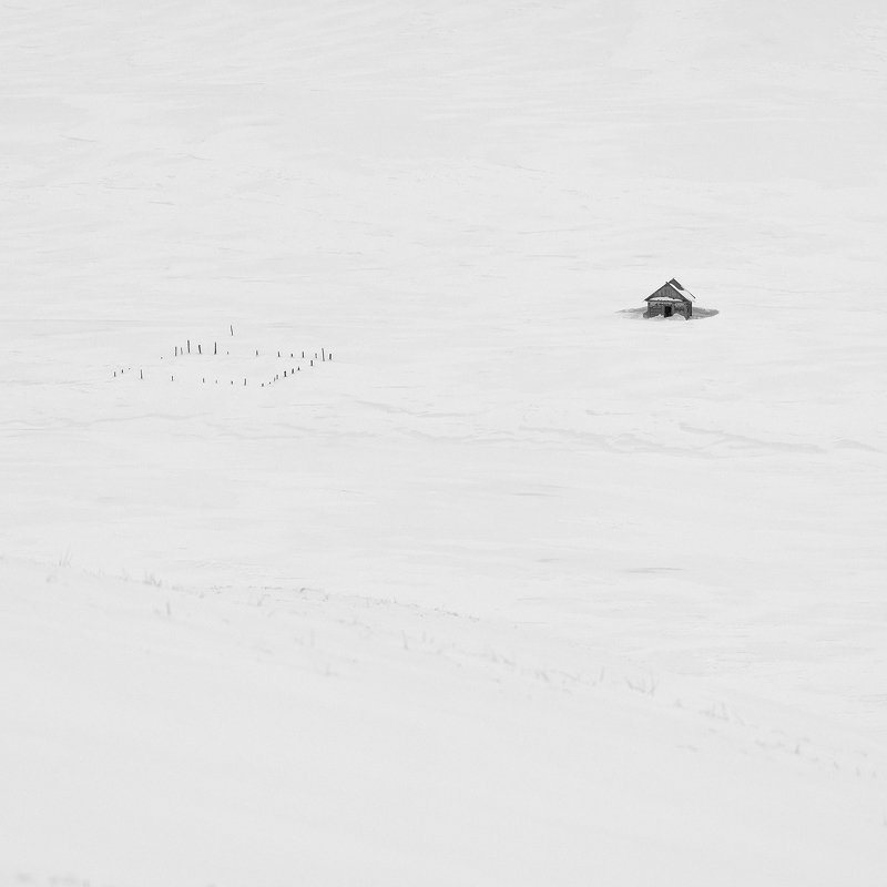 Забытые фото превью