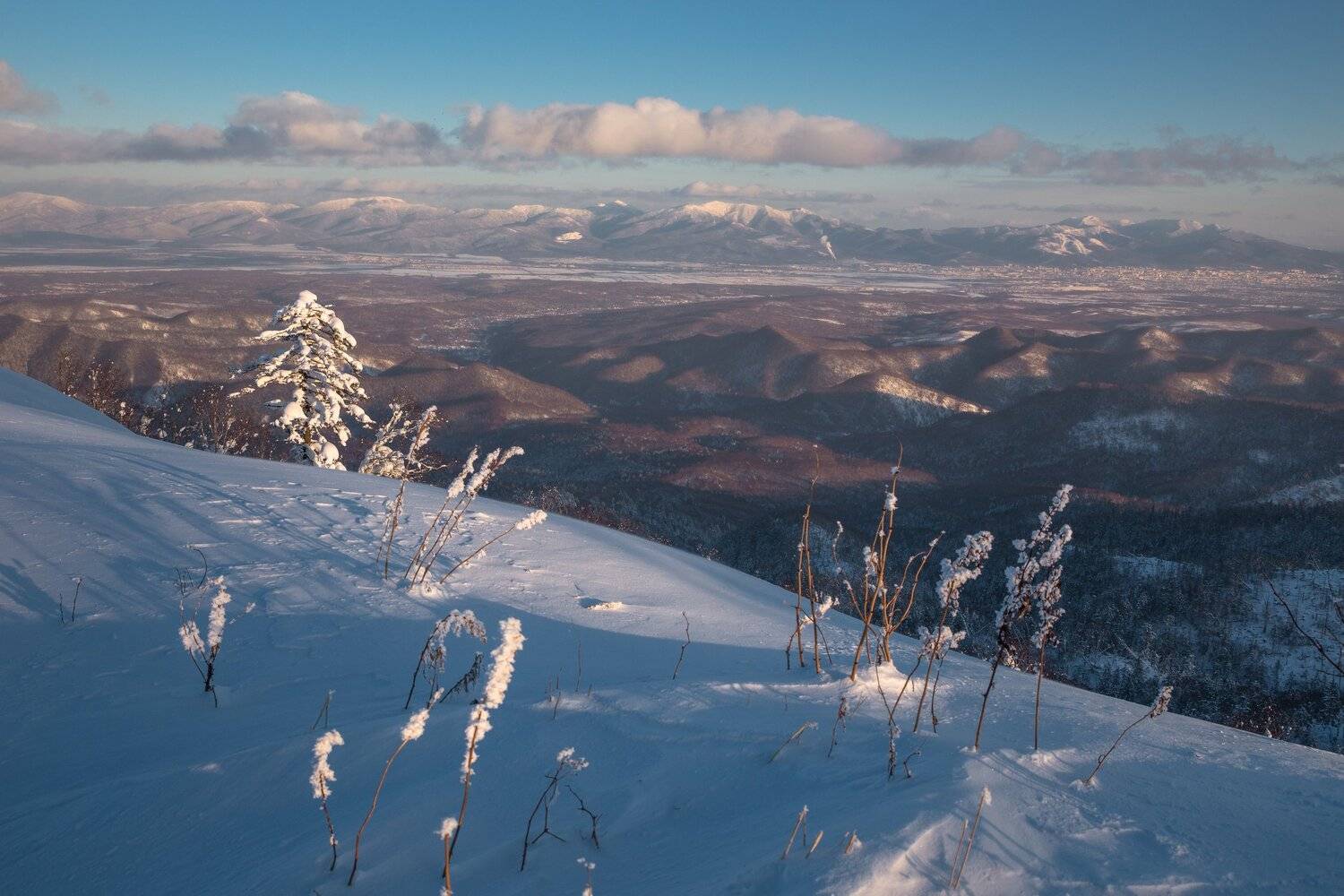 , Артем Удодов