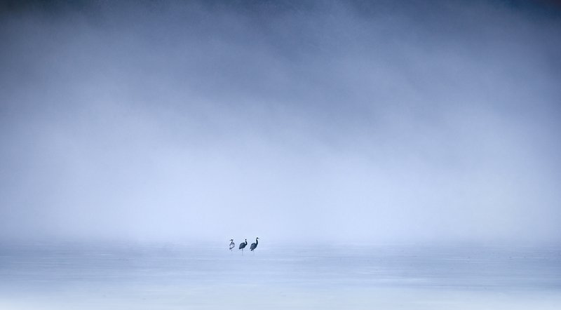 ++ фото превью
