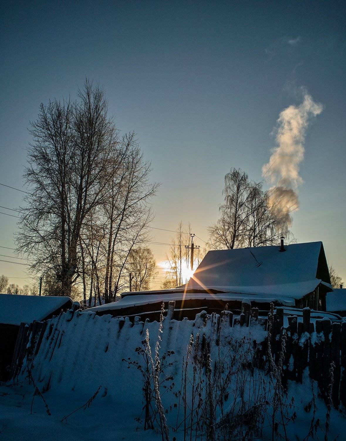 , Лариса Лофицкая