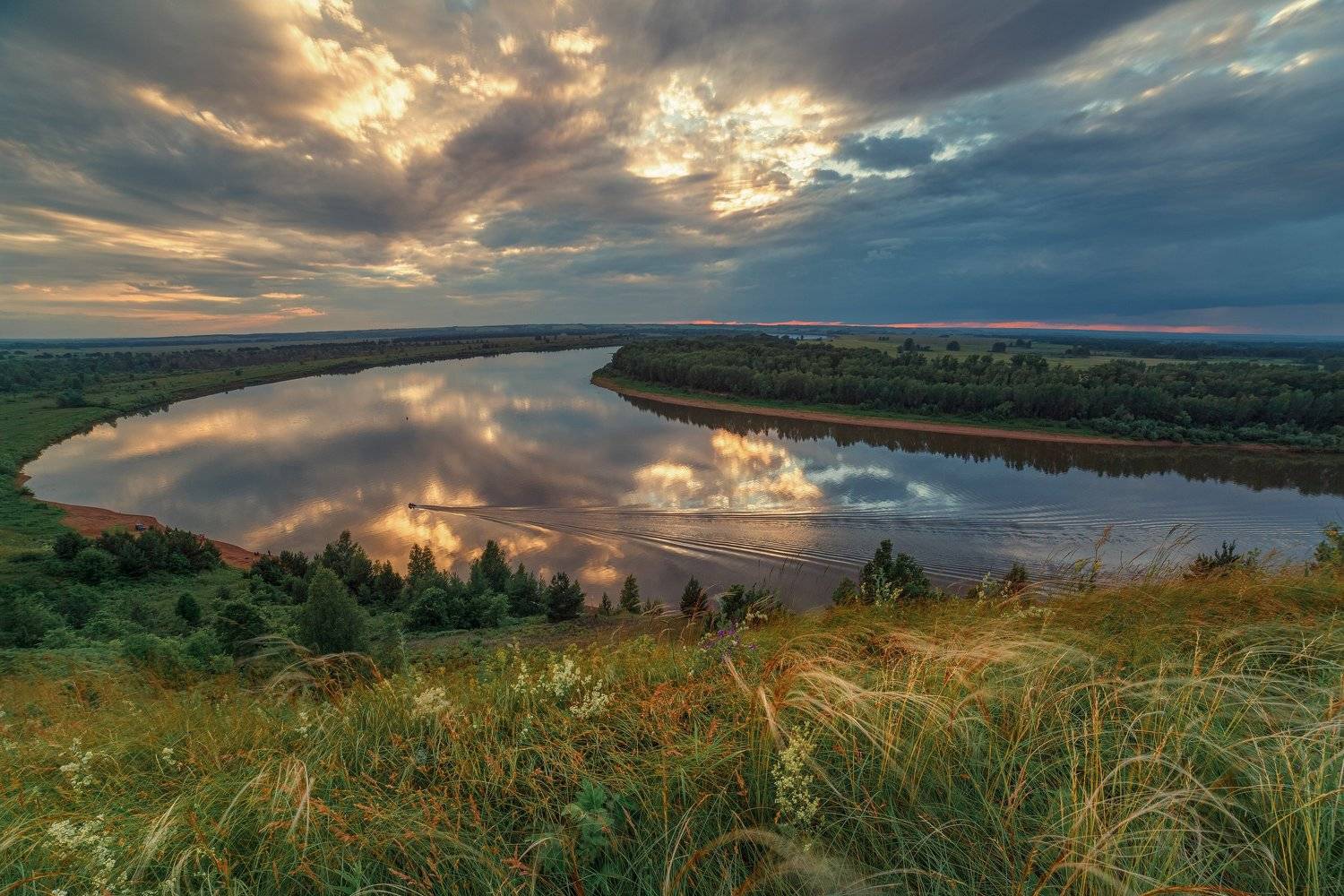 , Алексей Никитин