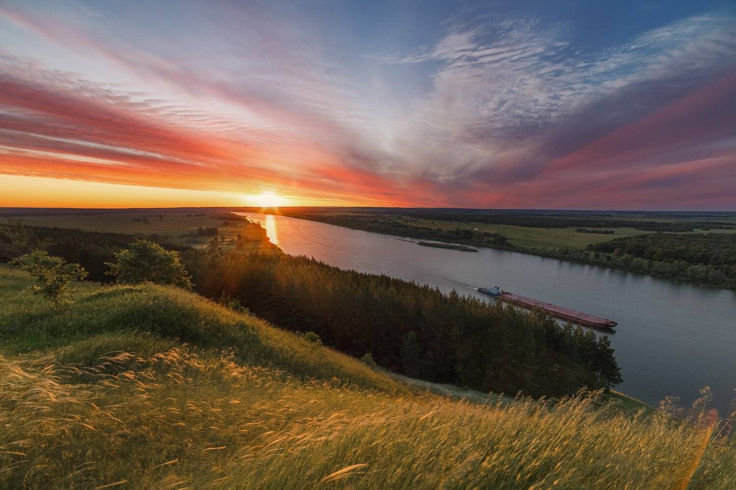 , Алексей Никитин