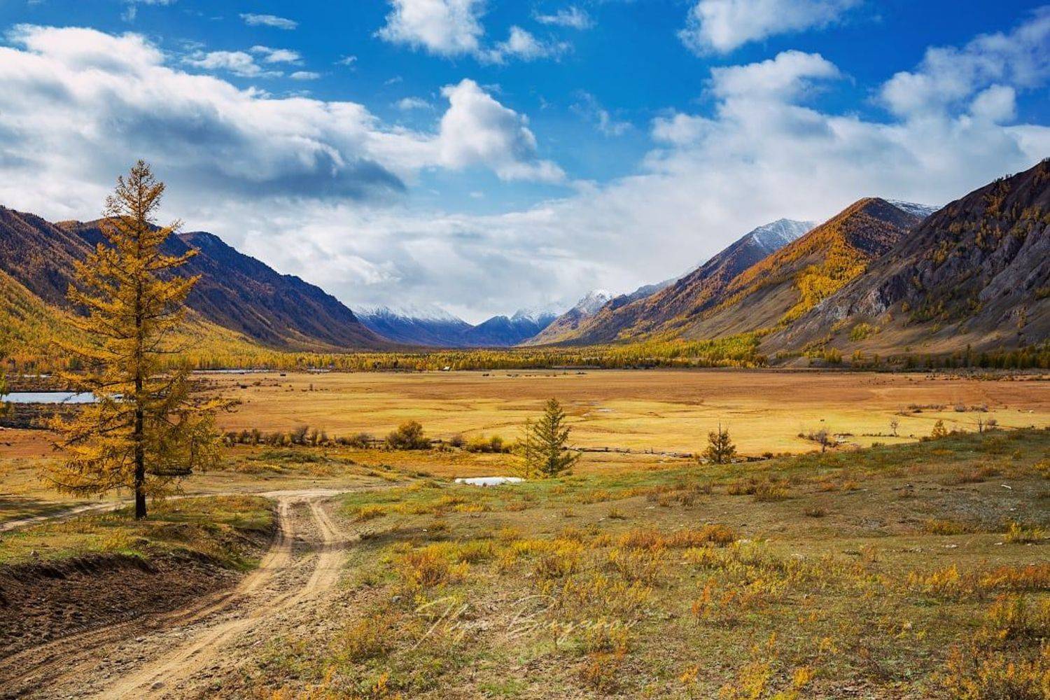 , Илья Буянов