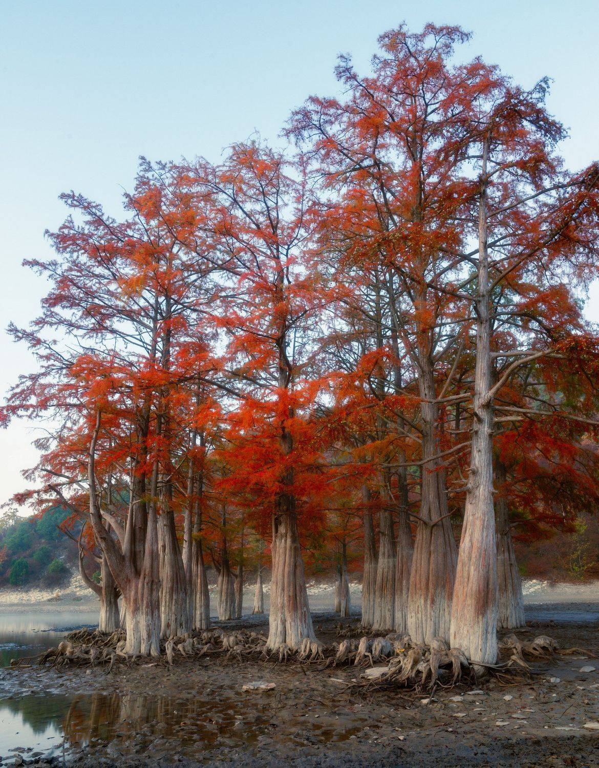 , Alexander Plekhanov